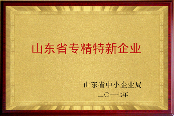 山東省專精特新企業(yè)